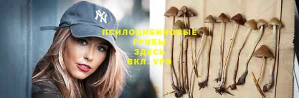 MESCALINE Инсар