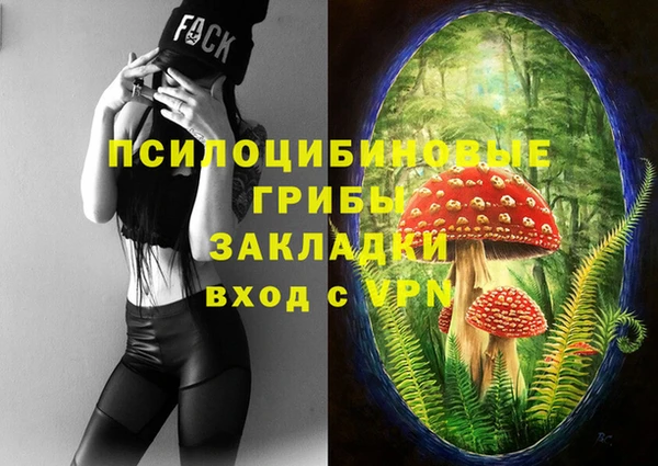герыч Инта